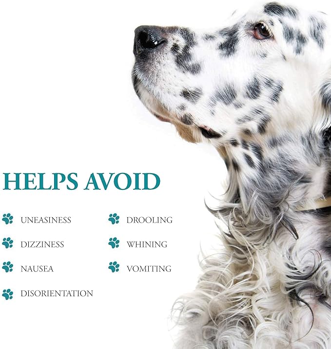 Anti-Motion Sickness and Nausea Relief for Small Breed Dogs, Relief for Disorientation and Dizziness, 10 Tablets-PawvioPets