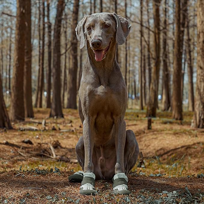 Dog Shoes, Waterproof Dog Boots & Paw Protectors with Anti-Slip Sole, 4pcs/Set Pet Dog Booties, Reflective Dog Shoes for Small Medium Large, Winter Snowy Summer Hot Pavement (Green, 5# (M))-PawvioPets