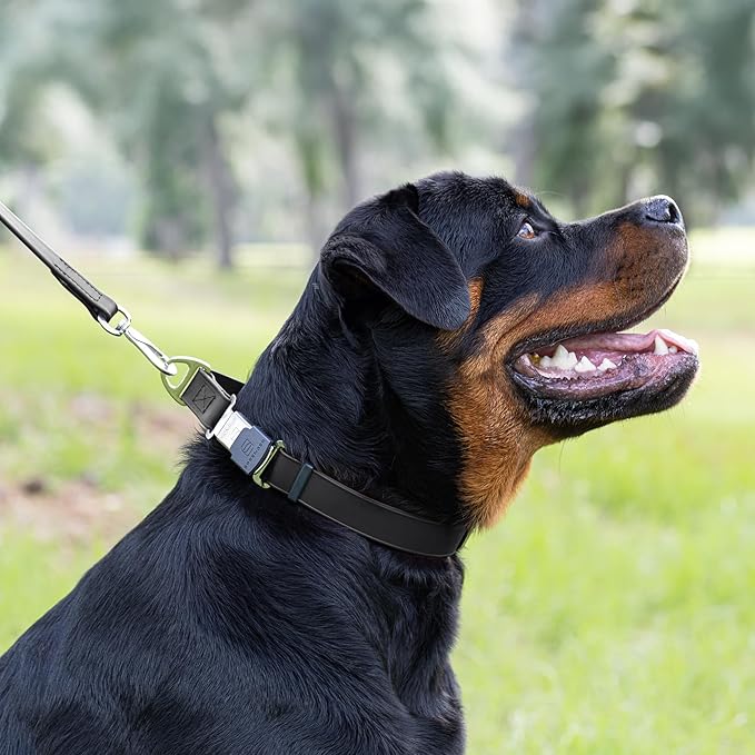 Dogline Biothane Waterproof Dog Collar with Herm Sprenger Black Stainless Steel Quick Release Buckle – Heavy Duty Tactical Durable Collar for Dogs – Comfortable and Safe Pet Collar W 1" L 15-25" Black-PawvioPets