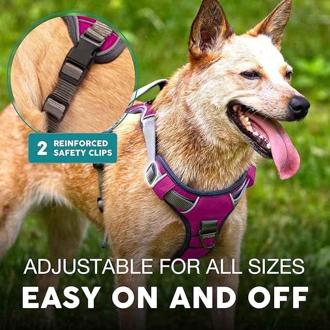 Embark Adventure Dog Harness, Reflective Trim No Pull Dog Harness for Large Dogs - Military Grade Nylon, Front Clip with Gel Lined Handle.-PawvioPets