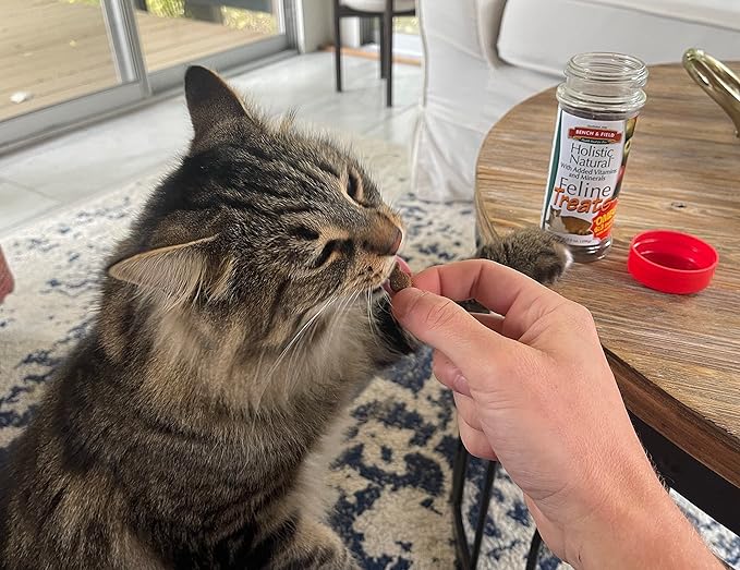 Bench & Field Holistic Natural Healthy Kitty Cat Treats | Crunchy Fish-Shaped Bites | Delicious Seafood Flavored Snack, 3-Ounce (Pack of 12 Bottles)-PawvioPets