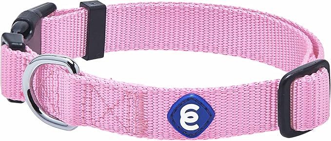 Blueberry Pet Essentials Small Dog Collar in Fuchsia Pink | Adjustable & Eco-Friendly Durable Nylon Strap | Classic Collar for Small Dogs, Boy & Girl Pets-PawvioPets