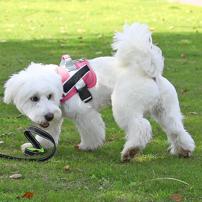 Bolux Dog Harness, No-Pull Reflective Dog Vest, Breathable Adjustable Pet Harness with Handle for Outdoor Walking - No More Pulling, Tugging or Choking (Fuchsia, Large (Pack of 1))-PawvioPets