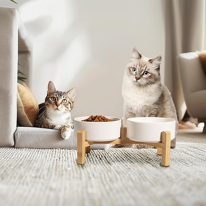 Elevated Ceramic Dog Bowl Set - Raised Feeding Bowls with Non-Slip Bamboo Stand - Small Pet Dishes for Food and Water - Ideal for Cats and Puppies - 16.23 OZ - 2 Cups - 480 ML-PawvioPets