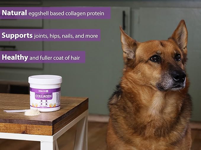 Eggshell Membrane Collagen for Dogs - Non-Gelatin and Non-Bone Marrow Based, All Natural Premium Dog Collagen Powder from Eggshell Membranes: Supports Pet HIPS, Joints, Nails, Fur and Digestion.-PawvioPets