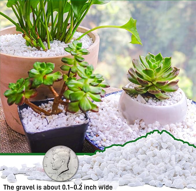 45lb White Cactus Pea Gravel Rocks,1/4 Inch Pebbles for Indoor Plants, Natural Succulent Rock and River Rocks Decorative for Aquariums, Vases, Outdoor Gardening, Top Dressing for Potted Plants-PawvioPets