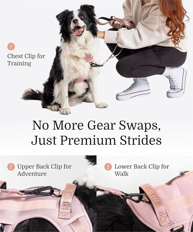 2025 New Edition, Fei & Eve MagEase Dog Harness - 3-Second Magnetic Buckles | 3-Point No-Pull Control | Heavy-Duty 900D Nylon | Dual Safety Handles | Breathable Mesh | Adjustable Fit | Small, Pink-PawvioPets
