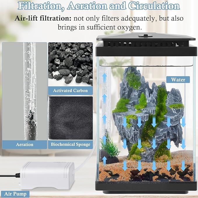 FEDOUR Small Glass Aquarium, 1 Gallon Desktop Fish Tank, Betta Fish Tank, Mini Aquarium Starter Kit with Air Pump LED Light Decoration Water Changer Fish Net (Black)-PawvioPets