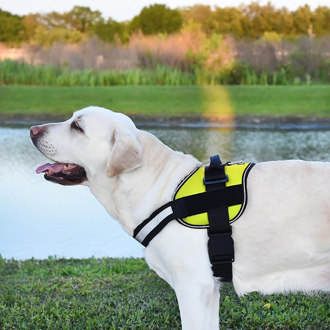 Dogline Dog Harness, Reflective No-Pull Adjustable Vest with Handle for Walking, Training, Breathable, No - Choke Harness for Small, Medium or Large Dogs Room for Patches Girth 22"-28" in Lime Green-PawvioPets