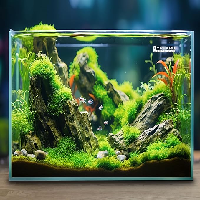 33 Gallon Cube Rimless Aquarium, Ultra Clear Low Iron Large Fish Tank, L19.7×W19.7×H19.7 Glass Thickness 8mm with EVA Foam Leveling Mat-PawvioPets