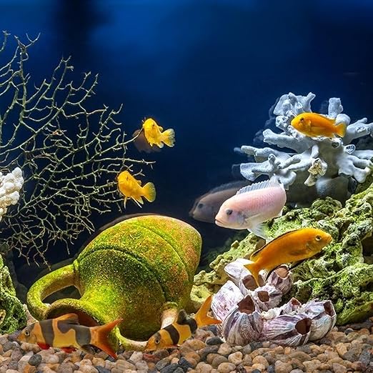 2.5 lbs Drainage Rocks for Potted Plants, 1/5 Inch Small Pebbles for Indoor Plants, Decorative Gravel for Vases, Bamboo, Succulent, Terrarium, Crafts, Cactus-PawvioPets