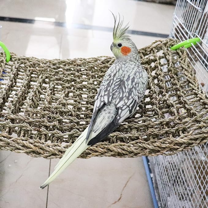 16 x 12 Inches Bird Seagrass Mat, Natural Seagrass Woven Net, Bird Hammock Mat with Hooks, Bird Cage Accessories, Climbing Rope Ladder Chew Toys for Cockatiel Hamster Guinea Pig Rats Hamster Parakeet-PawvioPets