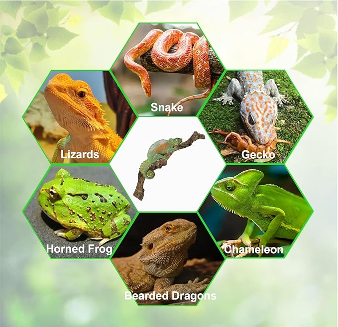 BNOSDM Reptile Climbing Branches Decor,Snake Climbing Branch,Gecko Climb Wood,Lizard Forest Branch,Tank Habitat Tree Trunk Decorations for Bearded Dragons,Chameleons,Spider,Frogs (XL)-PawvioPets