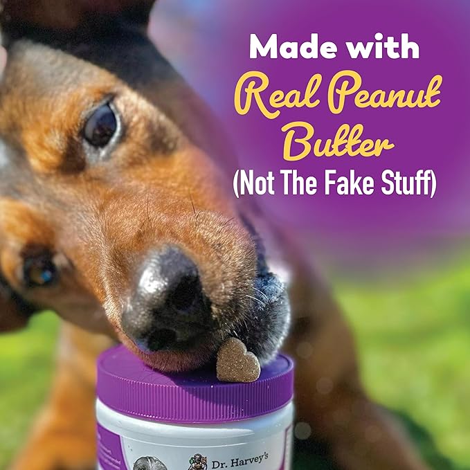 Dr. Harvey's Digestive Probiotic Soft Chews for Dogs, 7 Probiotics for Gut Health, Diarrhea and Bowel Support, Peanut Butter Flavor (90 Chews)-PawvioPets