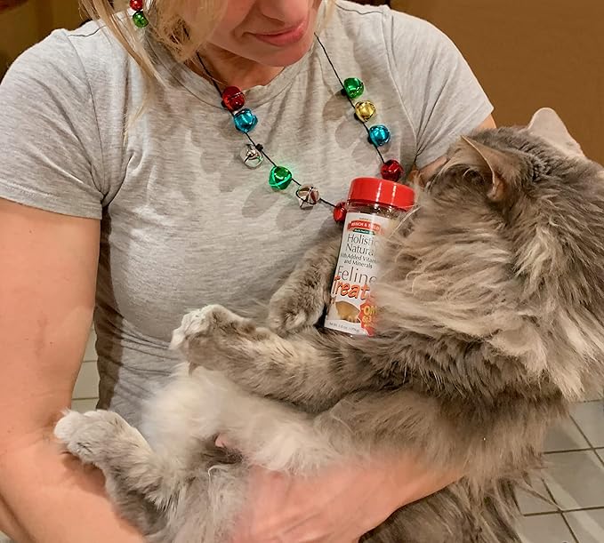 Bench & Field Holistic Natural Healthy Kitty Cat Treats | Crunchy Fish-Shaped Bites | Delicious Seafood Flavored Snack, 3-Ounce (Pack of 12 Bottles)-PawvioPets