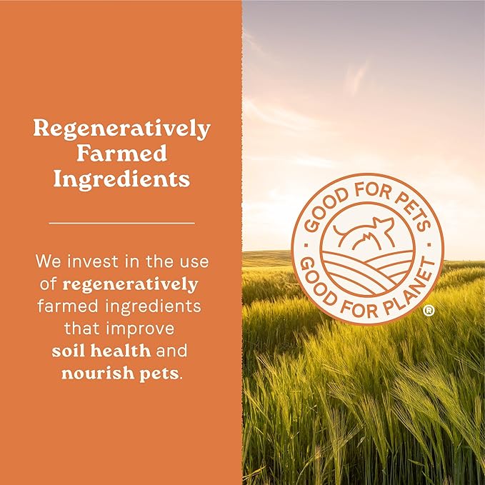 Canidae All Life Stages Real Chicken & Potato Recipe – High Protein and Grain-Free Premium Dry Dog Food for All Ages, Breeds, and Sizes– 4 lbs.-PawvioPets