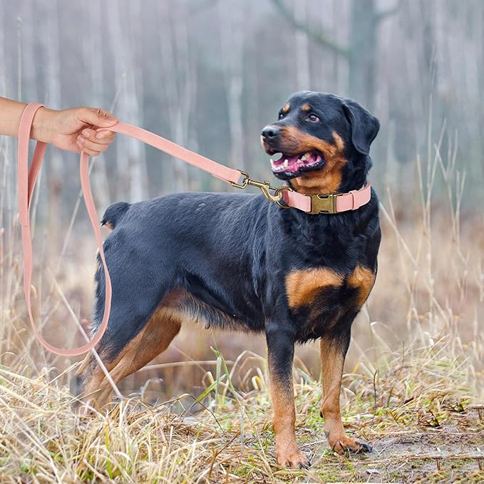 Didog Soft PU Leather Dog Collar, Stylish Quick Released Dog Collar for Large Dogs, Easy Clean Adjustable Pet Collar for Daily Walking, Pink, L Fit 15-23" Neck-PawvioPets