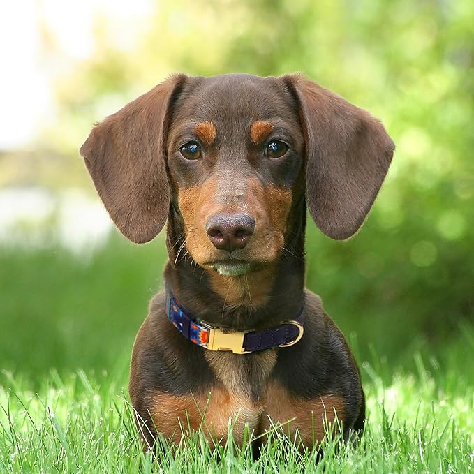 AirTag Dog Collar for Small Medium Large Breed - Adjustable Cute Pattern Dog Collar with Airtag Holder - Soft Leather Tracker GPS Apple Air Tag Pet Collars (Small, 12"-15" Neck Fit, Navajo)-PawvioPets