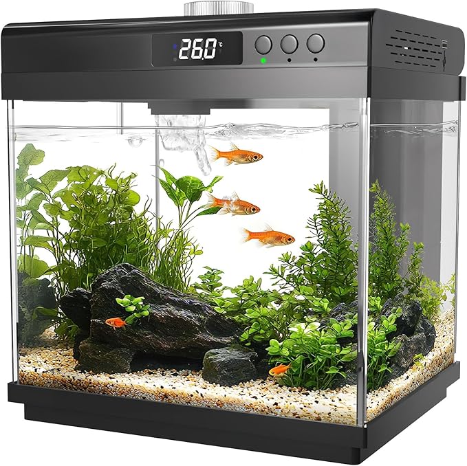 AQQA 3.7 Gallon Aquarium Starter Kit Small Glass Fish Tank with Filter and Light (10 Colors Adjustable) Desktop Self-Cleaning Betta Fish Tank Kit Office & Home Decor Idea (Black)-PawvioPets
