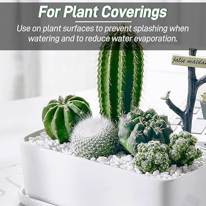 45lb White Cactus Pea Gravel Rocks,1/4 Inch Pebbles for Indoor Plants, Natural Succulent Rock and River Rocks Decorative for Aquariums, Vases, Outdoor Gardening, Top Dressing for Potted Plants-PawvioPets