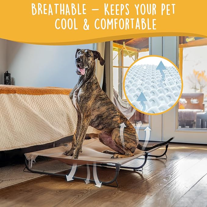 Daisy Cot, XL Foldable Elevated Dog Bed, Portable Raised Outdoor Folding Dog Cot, Cooling, Chew Proof, Waterproof, Heavy Duty Up to 160 lbs for Camping/Home, Brown, 49"x 33"x7"-PawvioPets