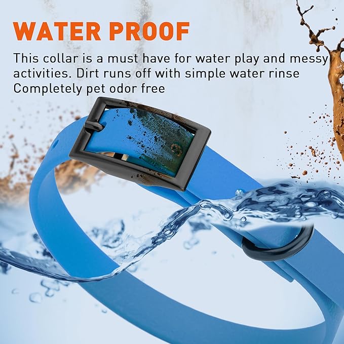 Dogline Biothane Waterproof Dog Collar Strong Coated Nylon Webbing with Black Hardware Odor- Proof for Easy Care Easy to Clean High Performance Fits Small Medium or Large Dogs, Cerulean Blue-PawvioPets