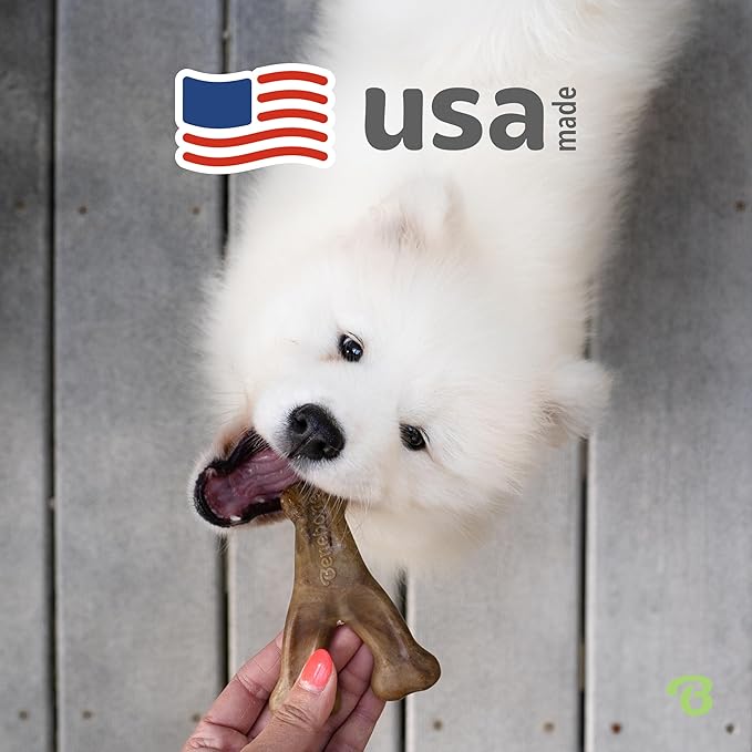 Benebone Wishbone Durable Dog Chew Toy for Aggressive Chewers, Real Bacon, Made in USA, Tiny-PawvioPets