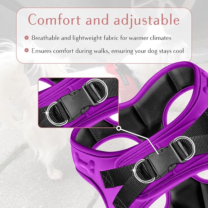 Comfort fit Step-in Dog & Puppy Harness - Comfortable All Weather Dog Vest Harness: Adjustable, Soft Padded, Easy to Put-on for Small, Medium-Sized Dogs.-PawvioPets