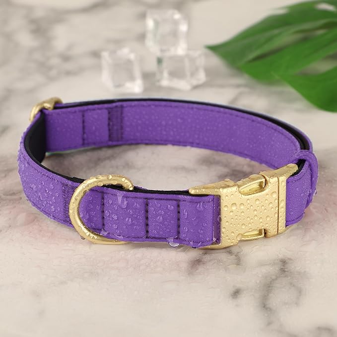 Didog Soft Padded Dog Collars for Small Dogs, Colorful and Durable Dog Collar with Quick Release Buckle, Light and Breathable for Daily Walking, Purple, S-PawvioPets