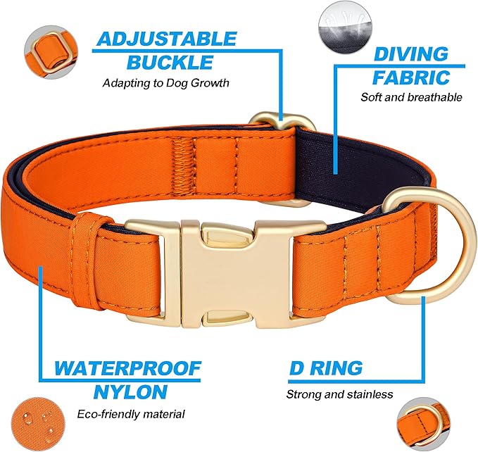 Didog Soft Padded Dog Collars for Medium Dogs, Colorful and Durable Dog Collar with Quick Release Buckle, Light and Breathable for Daily Walking, Orange, M-PawvioPets