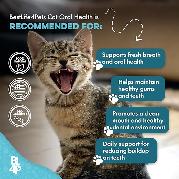 Cat Bad Breath & Oral Health Remedy, Natural Dental Care Cats Teeth, Mouth and Gums, Easy to Use Daily Supplement for Stomatitis, Gingivitis, Plaque & Tartar Control for Cats, 800 Small Pills-PawvioPets
