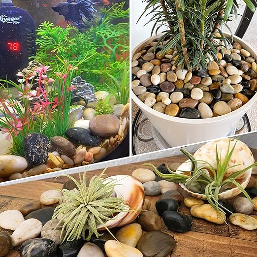 8LB 1"-2" Decorative River Rocks for Plants, Polished Pebbles for Garden Landscaping, Planters, Aquariums, Vase Fillers – Indoor & Outdoor Decor-PawvioPets
