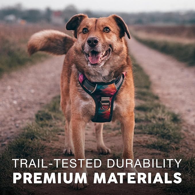 Embark Adventure Dog Harness, Reflective Trim No Pull Dog Harness for Large Dogs - Military Grade Nylon, Front Clip with Gel Lined Handle. Soft & Padded Puppy-PawvioPets