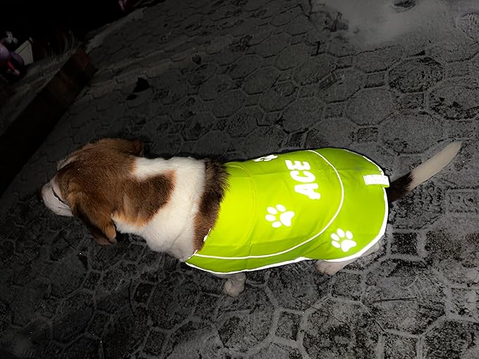 Custom Reflective Dog Vest High Visibility Reflective Jacket for Dogs Hunting Safety Gear with Elastic Strap & Clasp, Comfortable, Perfect for Day and Night Walks!-PawvioPets