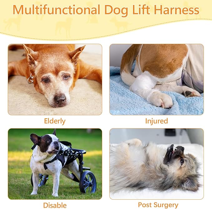 Dog Lift Harness Dog Sling for Large Dogs, Portable Dog Carrier Sling for Back Legs, Ajustable Hip Support Harness for Weak Rear Leg, Assist Senior Disabled Joint Injuried and After ACL-PawvioPets