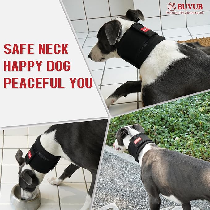 Adjustable Dog Neck Brace for Neck Pain & Injury Relief - Soft & Comfortable Support Collar for Dogs for Recovery After Surgery or Injury(Small)-PawvioPets