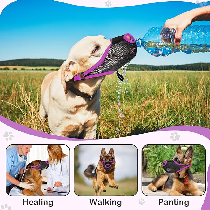 Dog Muzzle, Soft Air Mesh Muzzle for Small Medium Large Dogs Anti Biting Barking Chewing Scavenging, Breathable Adjustable Loop Pets Muzzle with Front Opening Design Allows Panting Drinking(Purple,XL)-PawvioPets