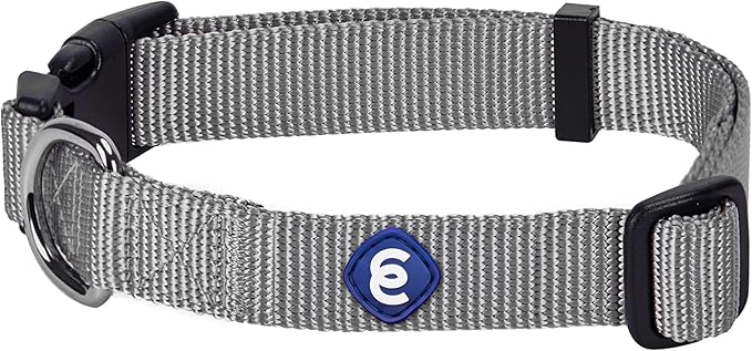 Blueberry Pet Essentials Medium Dog Collar in Flint Gray | Adjustable & Eco-Friendly Durable Nylon Strap | Classic Collar for Medium Dogs, Boy & Girl Pets-PawvioPets