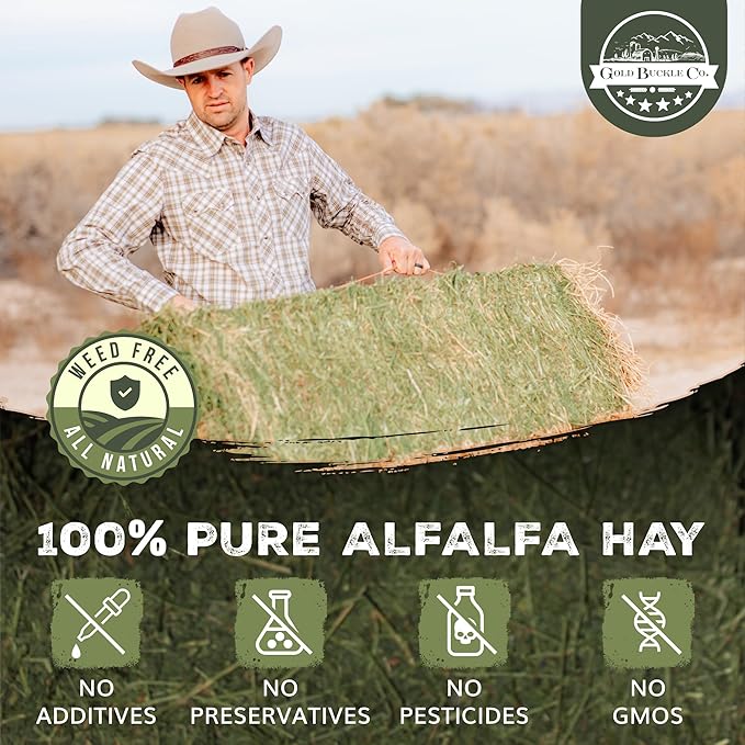 10lb Freshly Dried Organic Alfalfa Hay for Guinea Pigs, Rabbits, Chinchillas, Goats, Hamsters & Ferrets, Small Animal Food Rich in Protein & Fiber, Hand-Selected, Hand sorted, USA Grown-PawvioPets