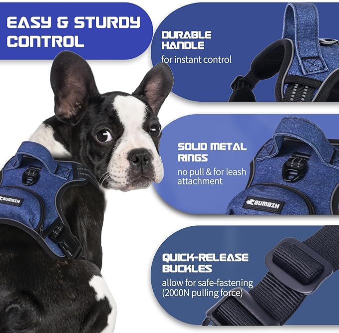 BUMBIN Dog Harness for Large Dogs, No Pull Adjustable No Choke Pet Vest with Dog Leash Fit Smart Reflective Pet Walking Harness for Training Easy Control Soft Handle Denim Blue L-PawvioPets