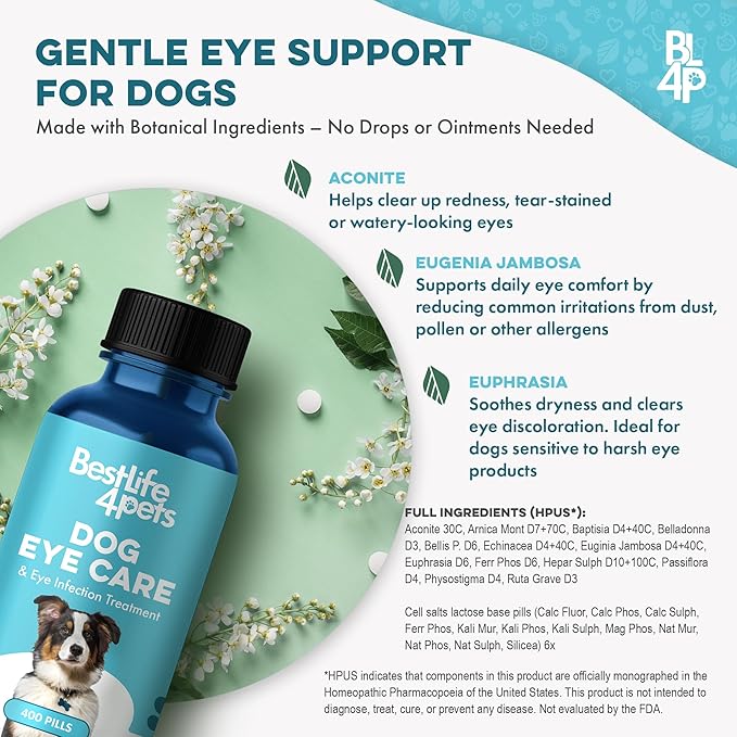Dog Eye Care & Infection Treatment, Natural Dog Supplements for Conjunctivitis, Swelling, Dry Eyes and Discharge, Easy to Use, No More Struggle with Canine Drops, 400 Small Pills-PawvioPets