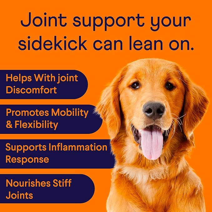 Finn Hip and Joint Supplement for Dogs | Glucosamine, Chondroitin & MSM for Joint and Mobility Support | with Turmeric, BioPerine and B-Vitamins | 90 Soft Chews-PawvioPets