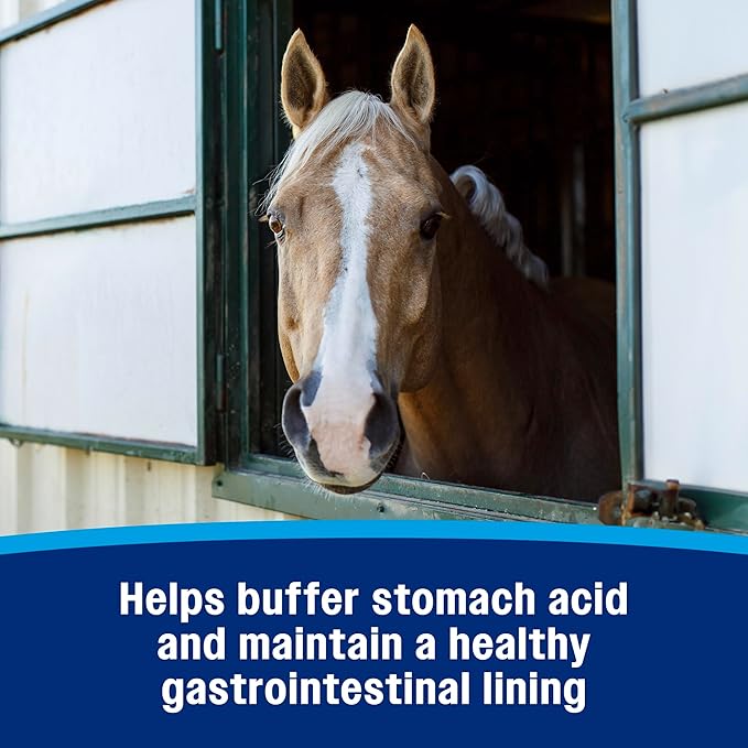 Farnam Gastric Health Pellets, Daily Gut and Digestive Health Supplement for Horses Helps Maintain a Healthy Gastrointestinal Tract and Gut Function-PawvioPets