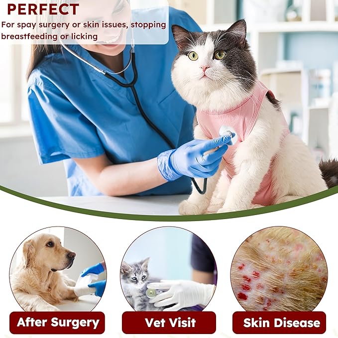 Cat Recovery Suit for Spay Abdominal Wounds, Breathable Cat Onesie for Cats After Surgery Female, Kitten Surgical Recovery Suit Female Cone of Shame Alternative for Cats Anti Licking-PawvioPets