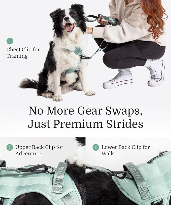 2025 New Edition, Fei & Eve MagEase Dog Harness - 3-Second Magnetic Buckles | 3-Point No-Pull Control | Heavy-Duty 900D Nylon | Dual Safety Handles | Breathable Mesh | Adjustable Fit | Large, Green-PawvioPets