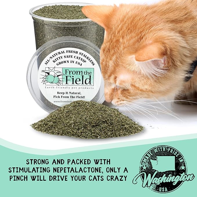 from The Field | Fine Ground Stalkless Catnip | Premium USA-Grown Catnip for Toys & Playtime | Fresh, Potent, Non-Toxic, Eco-Friendly | Safe for Kittens & Cats | Resealable 10 Oz Bag-PawvioPets