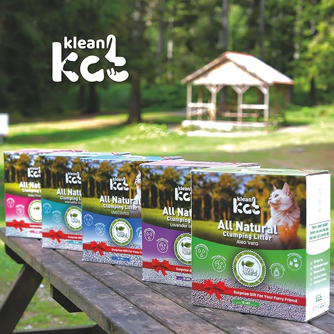 All Natural Clumping Cat Litter – Multiple Scents – Low Dust, Odor Control – Baby Powder 18 lb - Surprise Toy Inside-PawvioPets