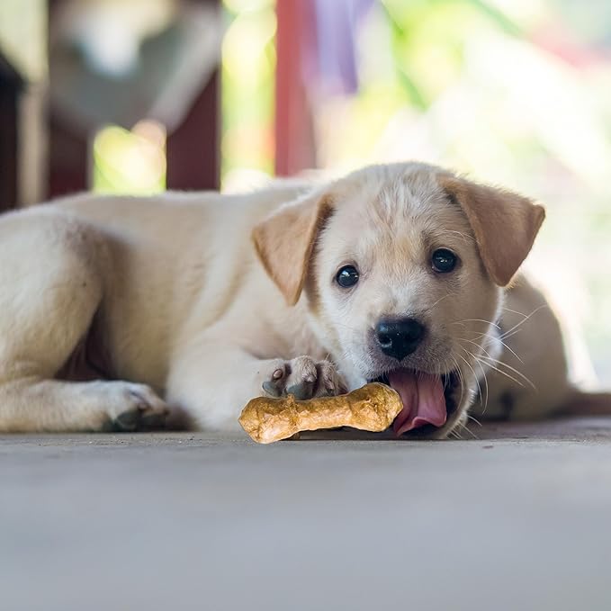 Fieldcrest Farms Nothin' to Hide 3 inch Ultra Knotted Bone Treats - Natural Rawhide Alternative Treats for Dogs, Collagen Based Snack for Heavy Chewers up to 15lbs - Chicken Flavor, 12 Pack-PawvioPets