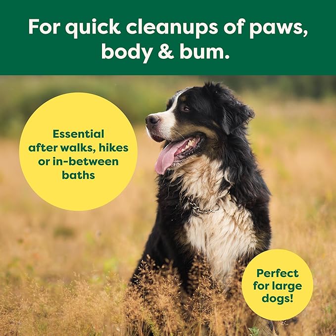 Earth Rated XL Pet Wipes for Dogs & Cats, 3-in-1 Hypoallergenic Cleaning, Deodorizing and Hydrating Extra Large Grooming for Body, Paws and Butt, Unscented, 60 Count-PawvioPets