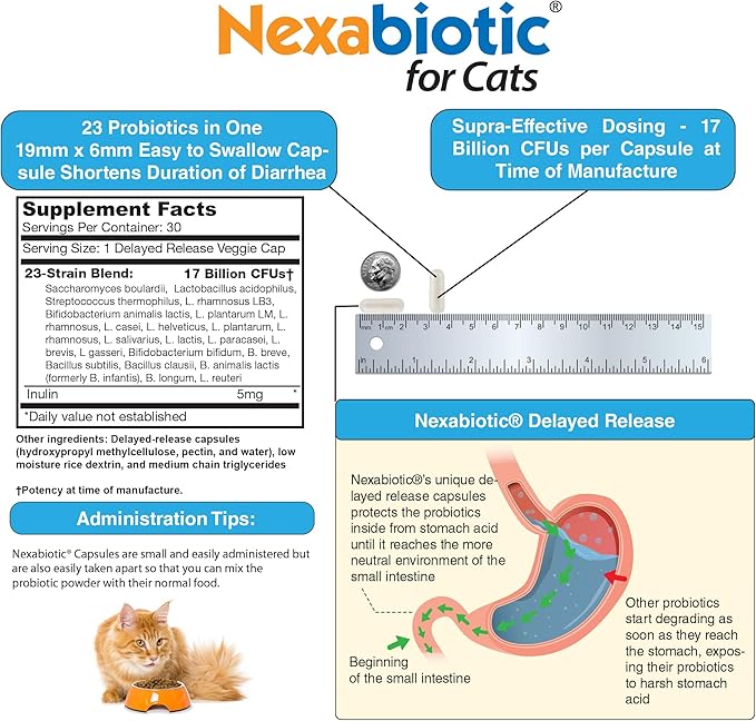 DrFormulas Nexabiotic Probiotics for Cats Powder | Treats Diarrhea for Pets with Saccharomyces Boulardii Lactobacillus Acidophilus, Best Probiotics Supplement for Digestive Health 30 Capsule-PawvioPets